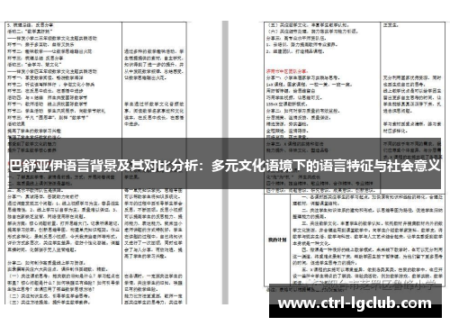 巴舒亚伊语言背景及其对比分析:多元文化语境下的语言特征与社会意义 巴舒亚伊语言背景及其对比分析:多元文化语境下的语言特征与社会意义